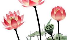 2023年2月26日开张日子好么 今日营业怎么样