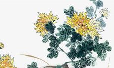 2023年2月28日商铺开张好吗 开店日子吉利吗