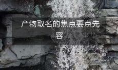 产物取名的焦点要点先容