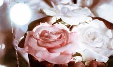 2022年11月25日是订婚吉日吗 办定亲宴合适吗