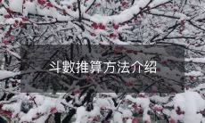 斗數推算方法介绍