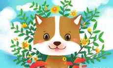 1995年属猪佩戴什么招财 紫微斗数怎么看财富