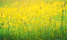 91年8月4日是什么命 农历六月二十四出生命运