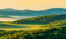 2023年披麻戴孝的生肖 属鼠人一直都很孝顺