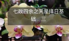 七政四余之天星择日基础　三