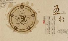 说话直肠子情商不高的星座