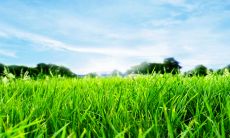 2023天喜星动的生肖 是属羊人桃花旺盛的一年