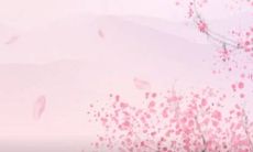 福垫接亲时候怎么用 用福垫有哪些注意事项