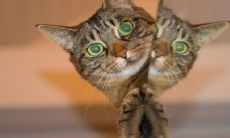 全身镜放在卧室哪最旺风水 镜子摆放禁忌