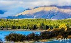 91年1月23日是什么命 农历十二月初八出生命运