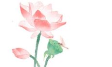 团扇的寓意和象征 结婚时团扇有何作用