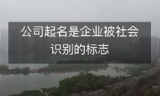 公司起名是企业被社会识别的标志