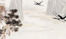 会对属兔女一见钟情的生肖男 最疼属兔女的生肖男