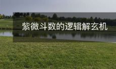 紫微斗数的逻辑解玄机