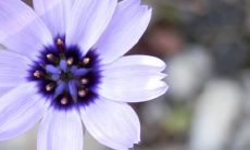 2022年有什么特殊意义 是什么年份