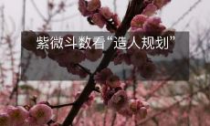 紫微斗数看“造人规划”