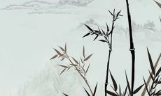 48岁兔本命年要注意什么 本命年48岁兔要佩戴什么