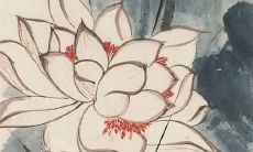 1987属兔桃花劫是谁 属兔87年二婚在什么时候