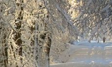 今日冬至吃饺子为什么