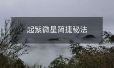 起紫微星简捷秘法