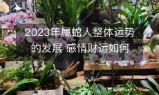 2023年属蛇人整体运势的发展 感情财运如何