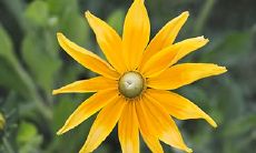 十年大运 怎么判断十年大运好坏