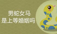 男蛇女马婚姻是上等配吗 有什么说法