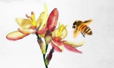 招上门女婿结婚流程 双方彩礼自愿