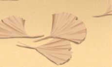 2016你的幸福在哪里