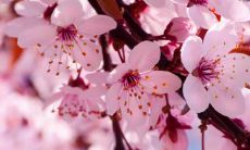 十二星座中谁是失败之后才会运气好的星座