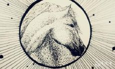 属马做什么工作最好 金牛座干什么行业好