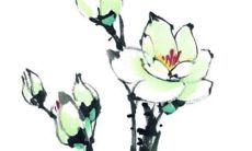 陪嫁行李箱里面装什么 什么人才可以送陪嫁行李箱