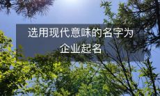 选用现代意味的名字为企业起名