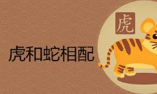虎和蛇谁克谁 夫妻结局如何