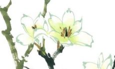 结婚出嫁一定要在自己房吗 从酒店出嫁可以吗?