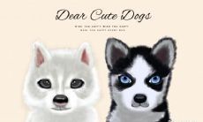 1986年属虎佩戴什么招财 财富由什么掌管