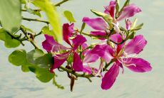 哪些星座从小就渴望成为一名医生