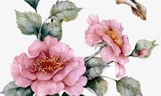 结婚回礼礼品有哪些东西 回礼多少合适