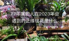 77年属蛇人在2023年会遇到的正缘桃花是什么生肖的