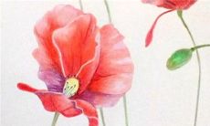 福垫是在娘家坐还是婆家坐 结婚坐福有哪些讲究