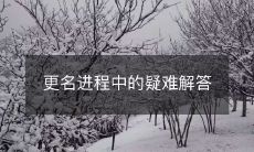 更名进程中的疑难解答