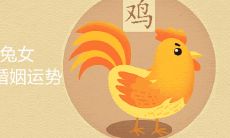 81属鸡男和87属兔女配吗 如何催旺婚姻运势