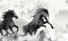 属马一生远离这个人 为什么要远离摩羯座