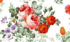 2023年5月2日适合店铺开业吗 店铺开张好吗