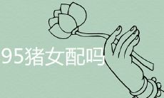 93鸡男95猪女配吗 在哪年生宝宝好