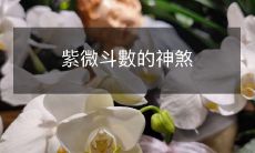 紫微斗數的神煞