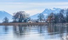 91年1月17日是什么命 农历十二月初二出生命运