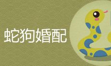 男蛇女狗在一起好不好 婚配结局如何