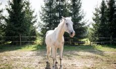 旺三代的生肖女 丈夫背后好女人的星座