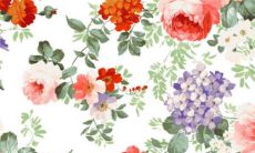 2023年5月3日这天开业吉利吗 是不是开业吉日